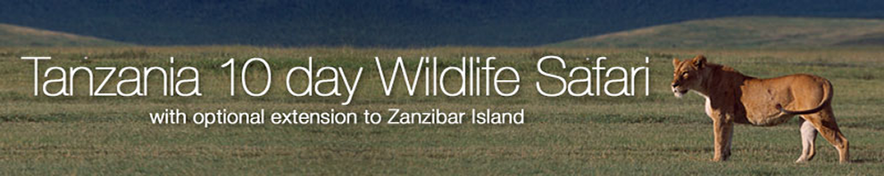 Tanzania Banner